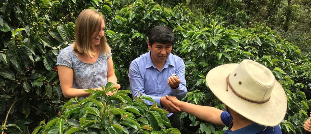 Case Study: Sustainable Agriculture in San Juan del Oro, Peru