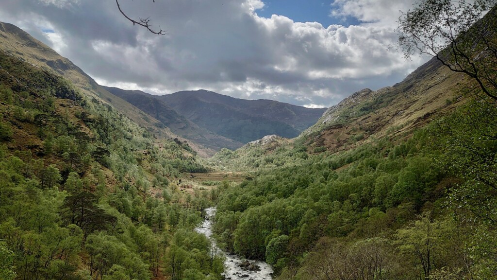 Saving Scotland’s Rainforest: Our trip into the wilds with the John Muir Trust