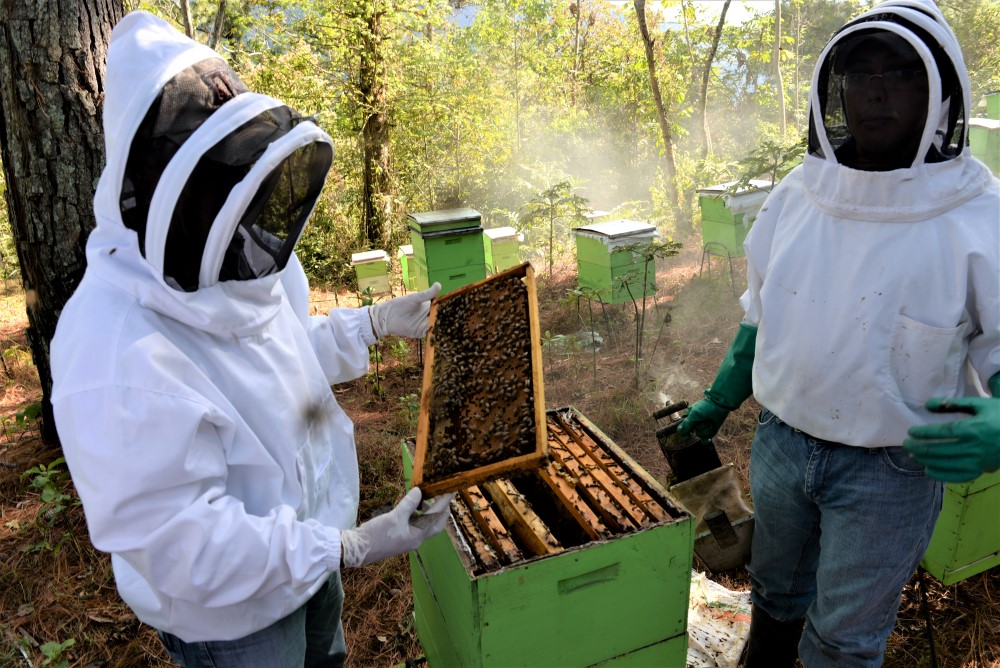 These coffee farmers have been busy as bees diversifying their income