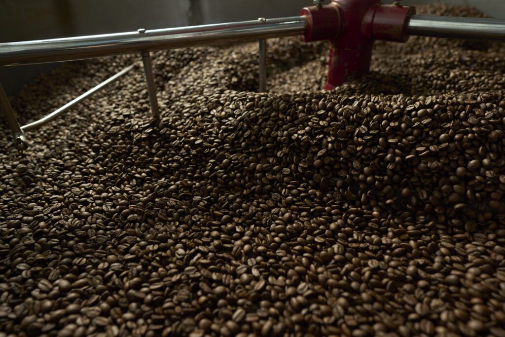 Freshly roasted coffee beans cooling down in the coffee roaster before being packaged