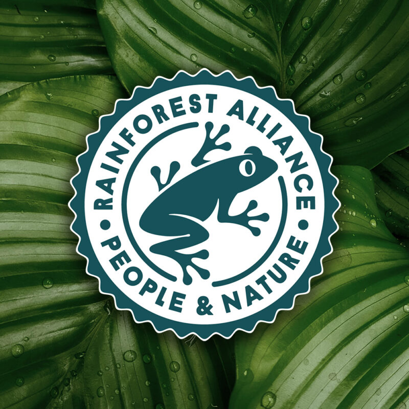 Rainforst Alliance Logo on background of leaves