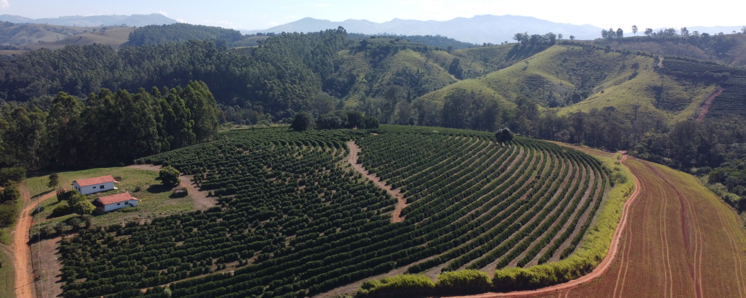 Sustainable Coffee Farming