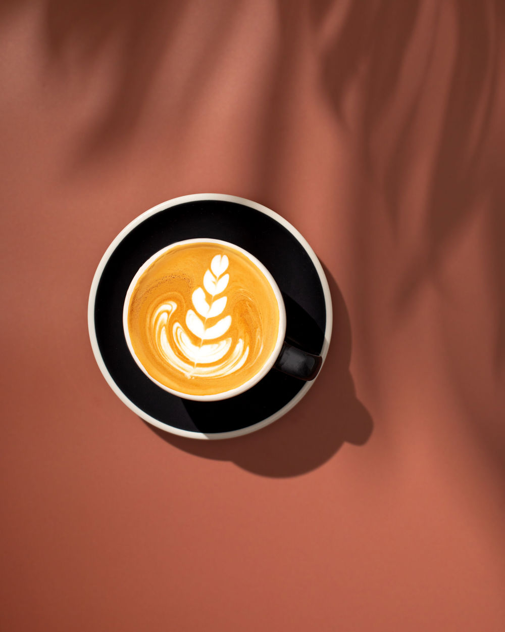 Matthew Algie Coffee Latte Art