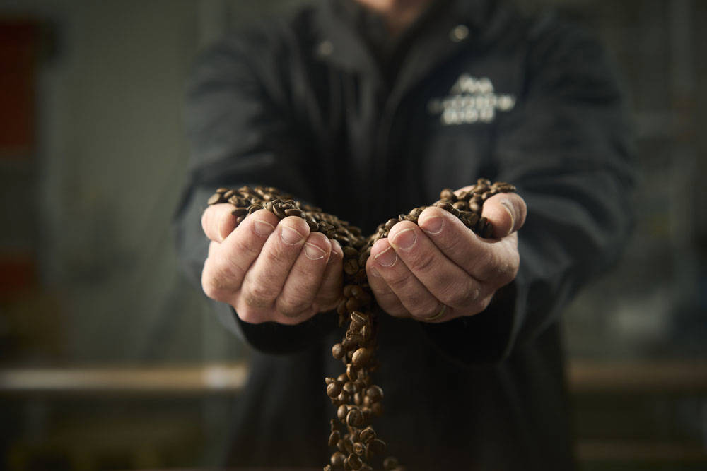 Matthew Algie Coffee Beans Held in Coffee Roasters Hands 