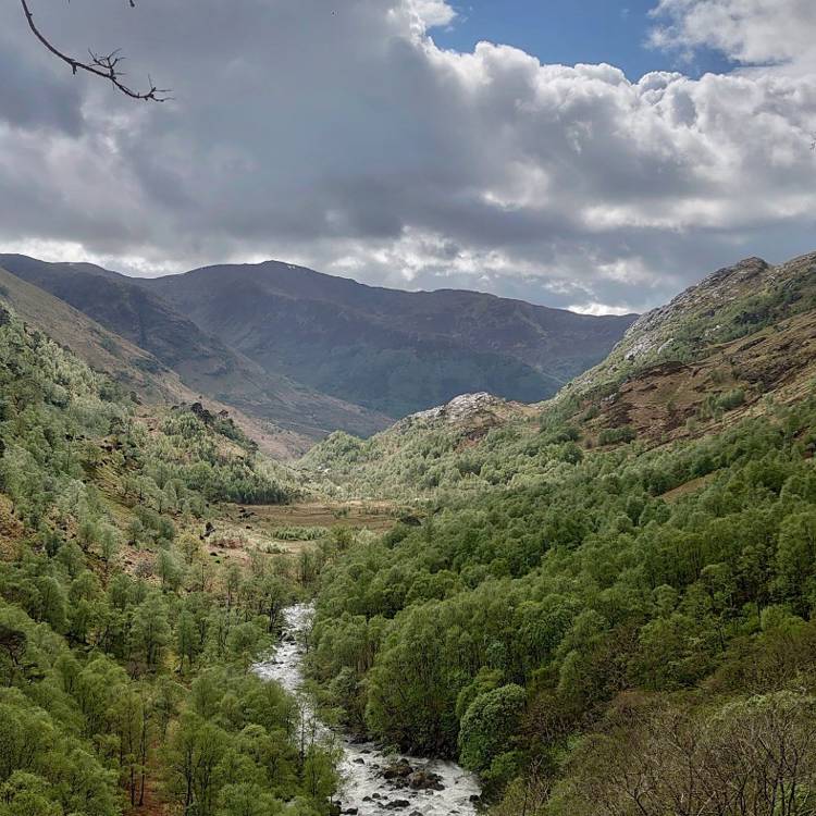 Initiative & John Muir Trust - Matthew Algie